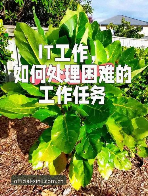 新利体育2026新版注册流程vs常见问题全解析：一次性搞定所有注册难题